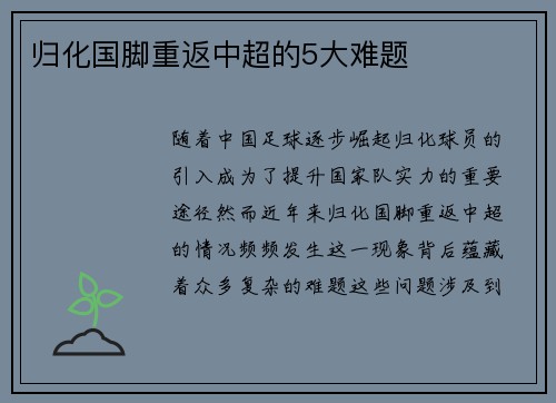 归化国脚重返中超的5大难题