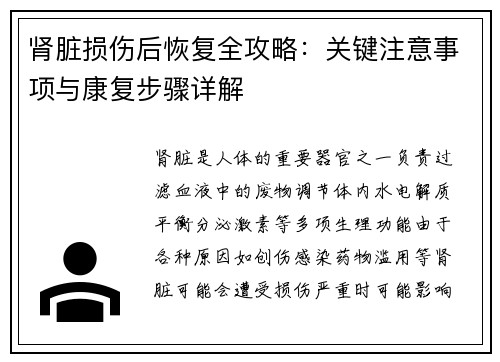 肾脏损伤后恢复全攻略：关键注意事项与康复步骤详解